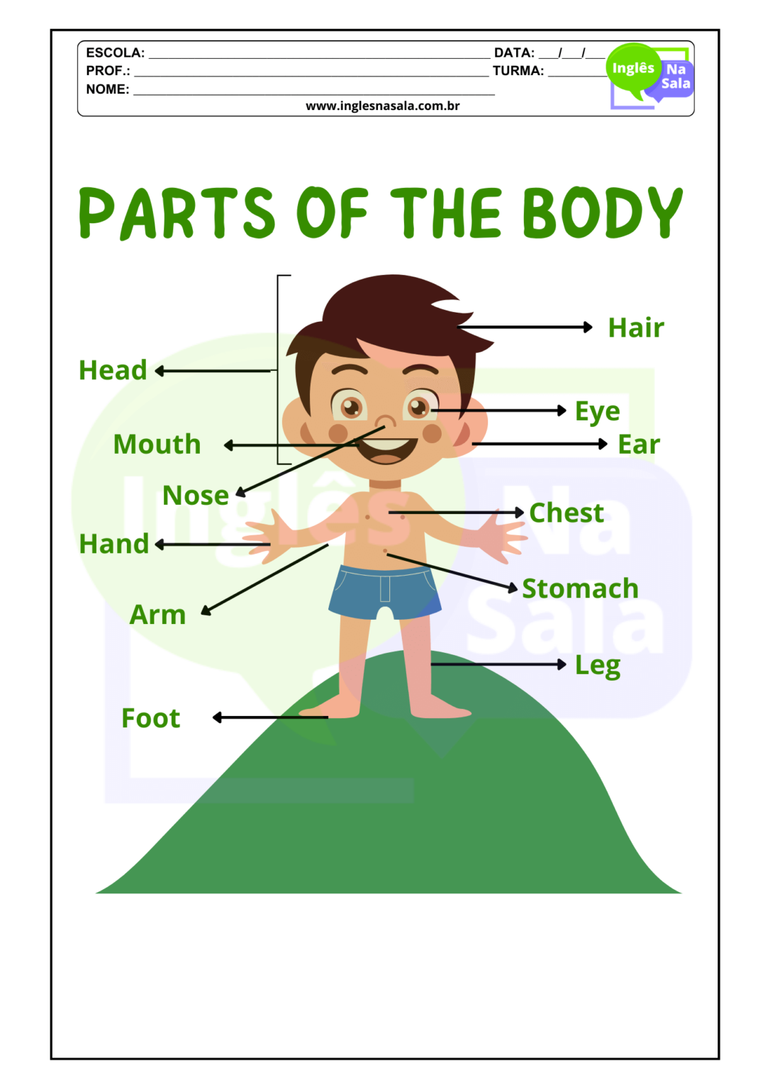 Atividades Partes Do Corpo Human Body Ingl S Na Sala