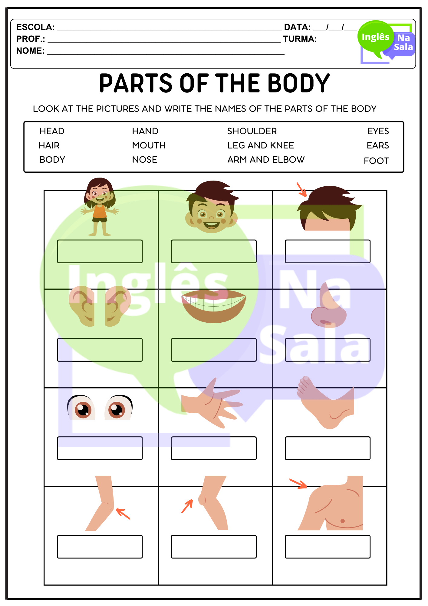 Atividades Partes do Corpo / Human Body - Inglês Na Sala